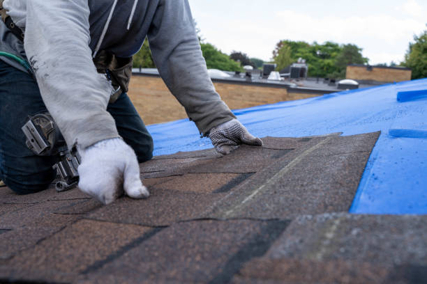 Best Roof Gutter Cleaning  in Gonzales, LA